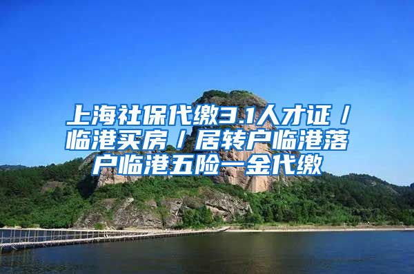 上海社保代缴3.1人才证／临港买房／居转户临港落户临港五险一金代缴