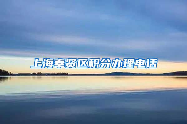 上海奉贤区积分办理电话