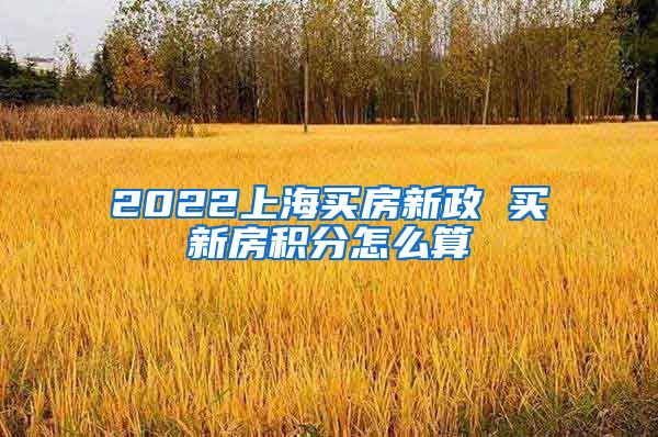 2022上海买房新政 买新房积分怎么算