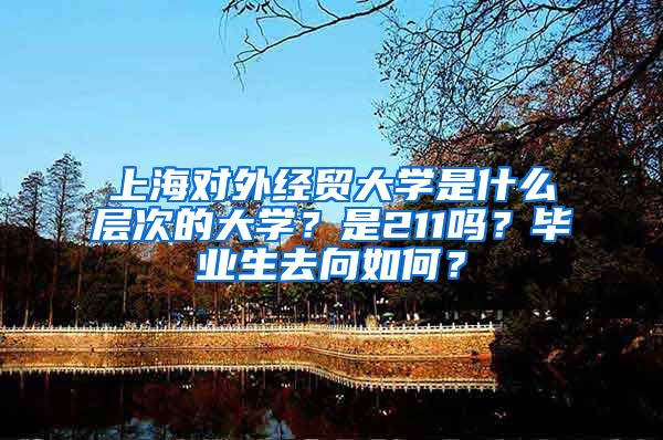上海对外经贸大学是什么层次的大学？是211吗？毕业生去向如何？