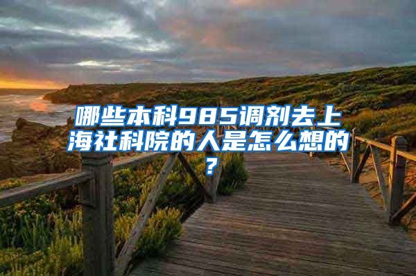 哪些本科985调剂去上海社科院的人是怎么想的？