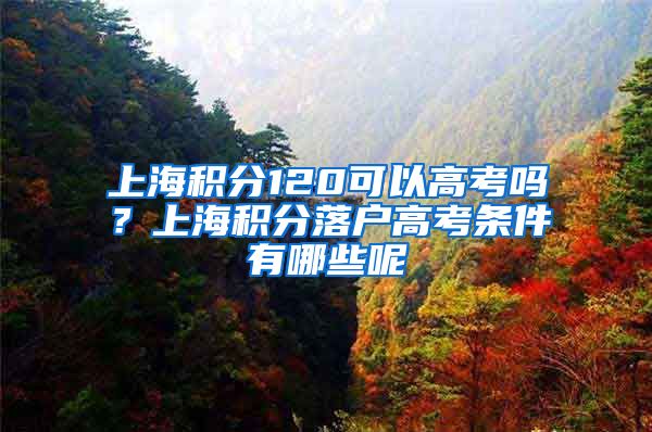 上海积分120可以高考吗？上海积分落户高考条件有哪些呢