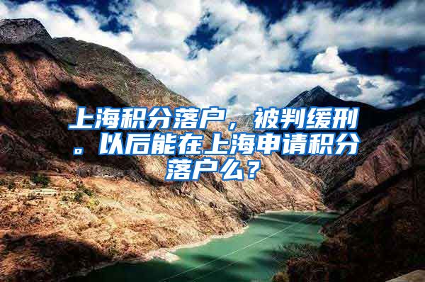 上海积分落户，被判缓刑。以后能在上海申请积分落户么？
