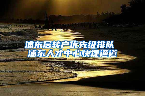 浦东居转户优先级排队 浦东人才中心快捷通道