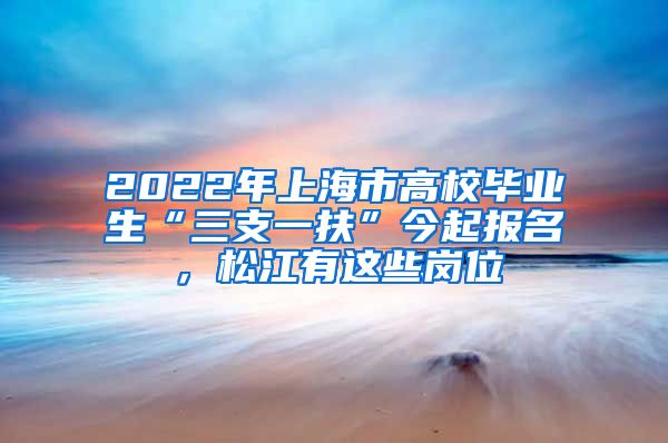 2022年上海市高校毕业生“三支一扶”今起报名，松江有这些岗位