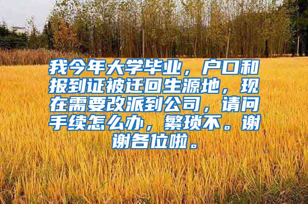 我今年大学毕业，户口和报到证被迁回生源地，现在需要改派到公司，请问手续怎么办，繁琐不。谢谢各位啦。