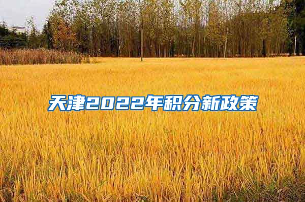 天津2022年积分新政策