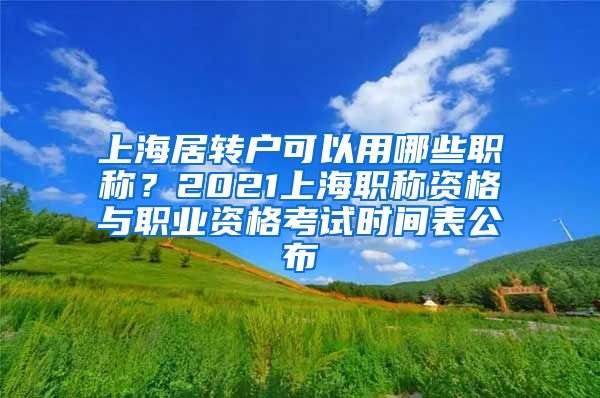 上海居转户可以用哪些职称？2021上海职称资格与职业资格考试时间表公布