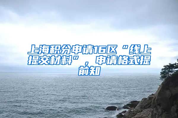 上海积分申请16区“线上提交材料”，申请格式提前知