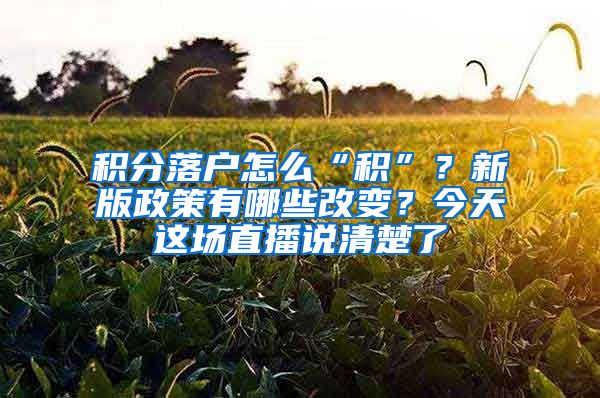 积分落户怎么“积”？新版政策有哪些改变？今天这场直播说清楚了