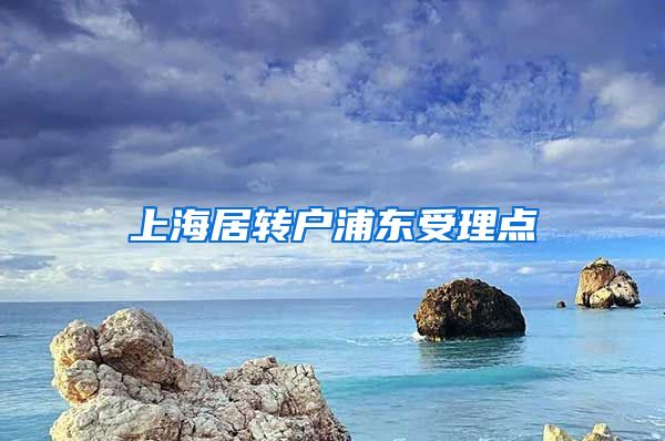 上海居转户浦东受理点