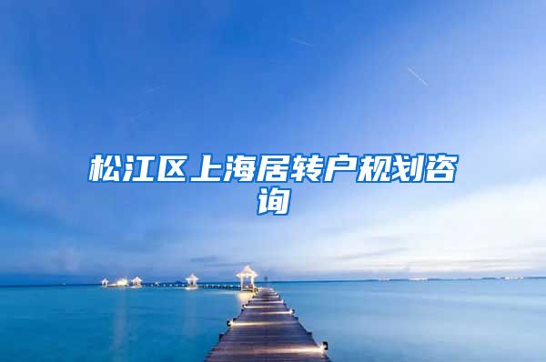 松江区上海居转户规划咨询