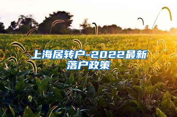 上海居转户-2022最新落户政策