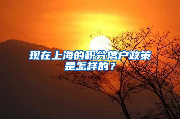 现在上海的积分落户政策是怎样的？