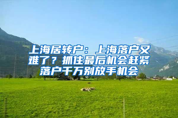 上海居转户：上海落户又难了？抓住最后机会赶紧落户千万别放手机会