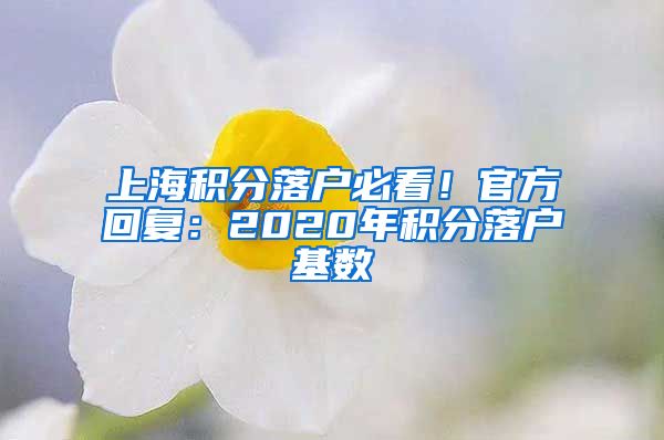 上海积分落户必看！官方回复：2020年积分落户基数