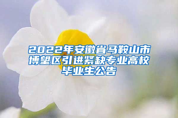 2022年安徽省马鞍山市博望区引进紧缺专业高校毕业生公告