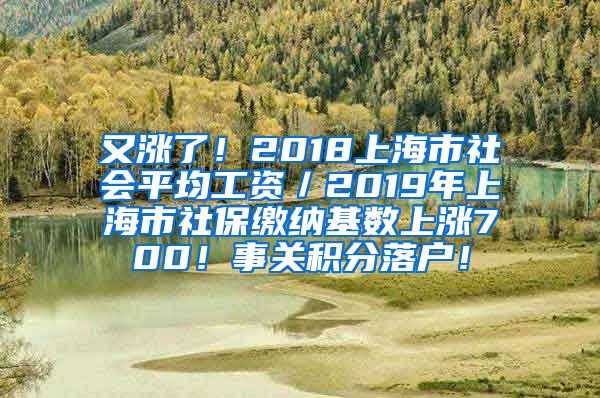 又涨了！2018上海市社会平均工资／2019年上海市社保缴纳基数上涨700！事关积分落户！