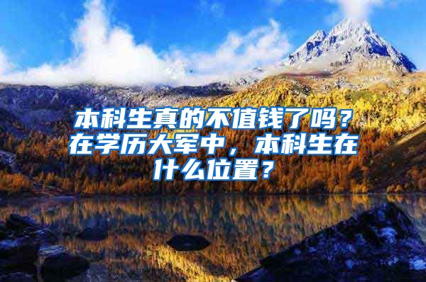 本科生真的不值钱了吗？在学历大军中，本科生在什么位置？