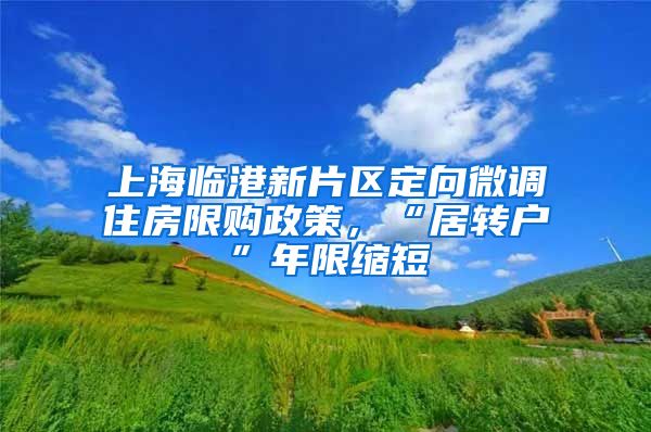 上海临港新片区定向微调住房限购政策，“居转户”年限缩短