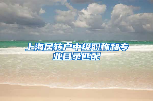 上海居转户中级职称和专业目录匹配