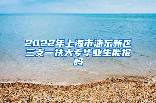 2022年上海市浦东新区三支一扶大专毕业生能报吗