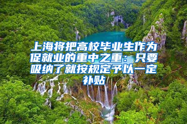 上海将把高校毕业生作为促就业的重中之重：只要吸纳了就按规定予以一定补贴