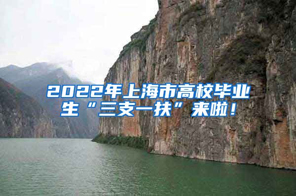 2022年上海市高校毕业生“三支一扶”来啦！