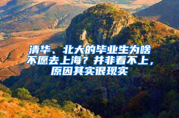 清华、北大的毕业生为啥不愿去上海？并非看不上，原因其实很现实