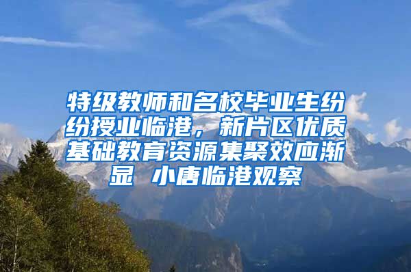 特级教师和名校毕业生纷纷授业临港，新片区优质基础教育资源集聚效应渐显 小唐临港观察