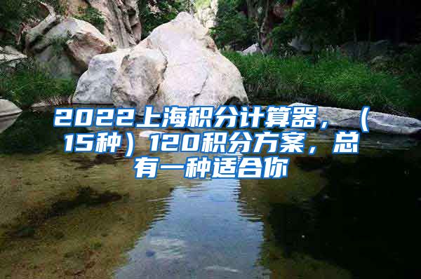 2022上海积分计算器，（15种）120积分方案，总有一种适合你