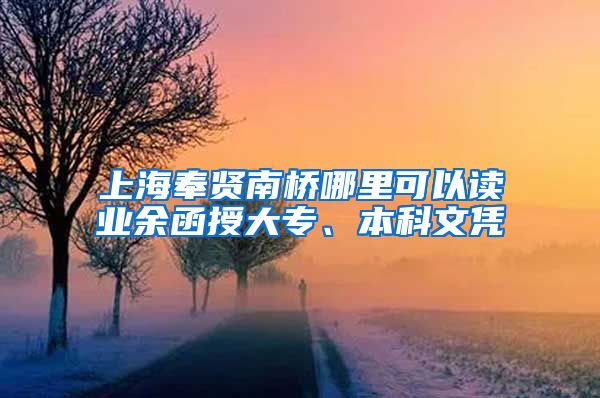 上海奉贤南桥哪里可以读业余函授大专、本科文凭
