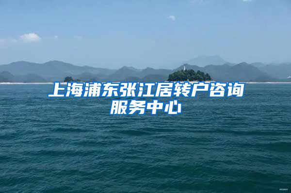 上海浦东张江居转户咨询服务中心