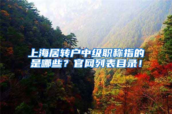 上海居转户中级职称指的是哪些？官网列表目录！