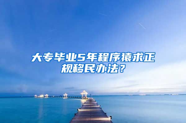 大专毕业5年程序猿求正规移民办法？