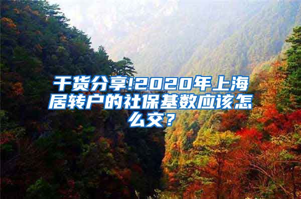 干货分享!2020年上海居转户的社保基数应该怎么交？