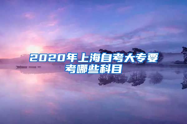 2020年上海自考大专要考哪些科目