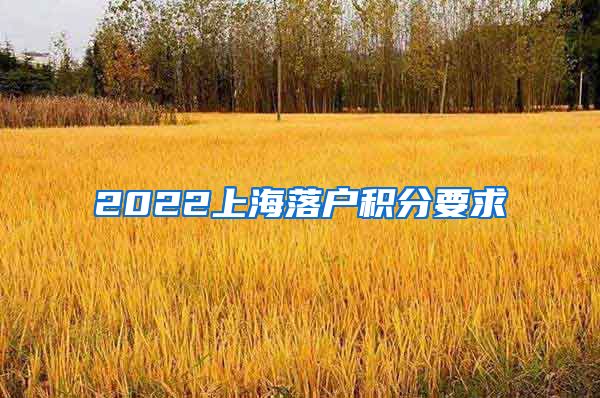 2022上海落户积分要求