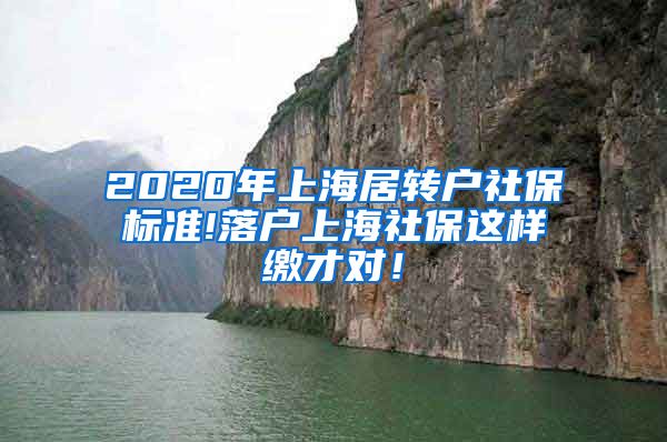 2020年上海居转户社保标准!落户上海社保这样缴才对！