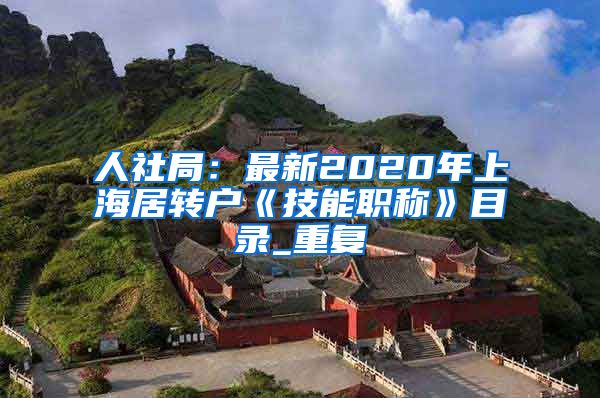 人社局：最新2020年上海居转户《技能职称》目录_重复