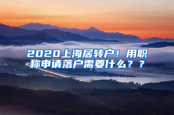 2020上海居转户！用职称申请落户需要什么？？