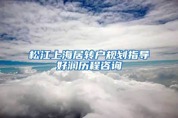 松江上海居转户规划指导好润历程咨询
