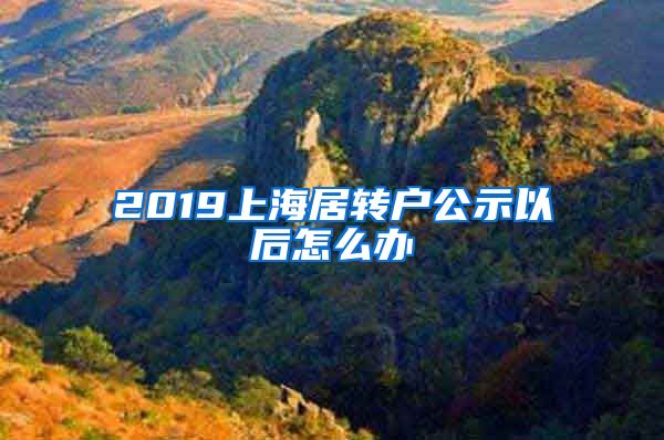 2019上海居转户公示以后怎么办