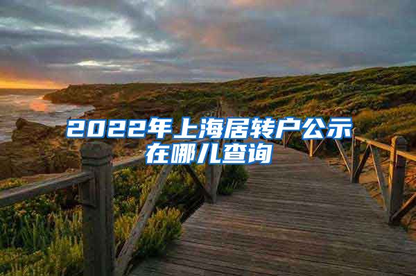 2022年上海居转户公示在哪儿查询