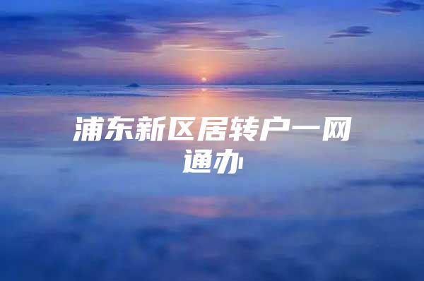 浦东新区居转户一网通办